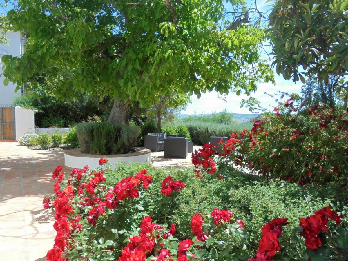 Betania ξενώνας Grazalema Εξωτερικό φωτογραφία