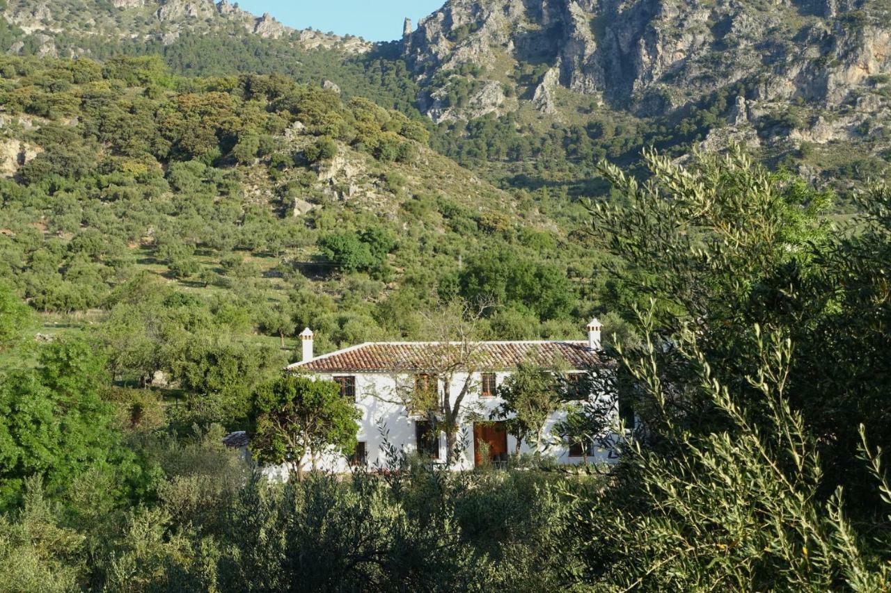 Betania ξενώνας Grazalema Εξωτερικό φωτογραφία