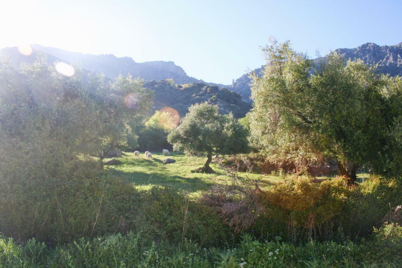 Betania ξενώνας Grazalema Εξωτερικό φωτογραφία