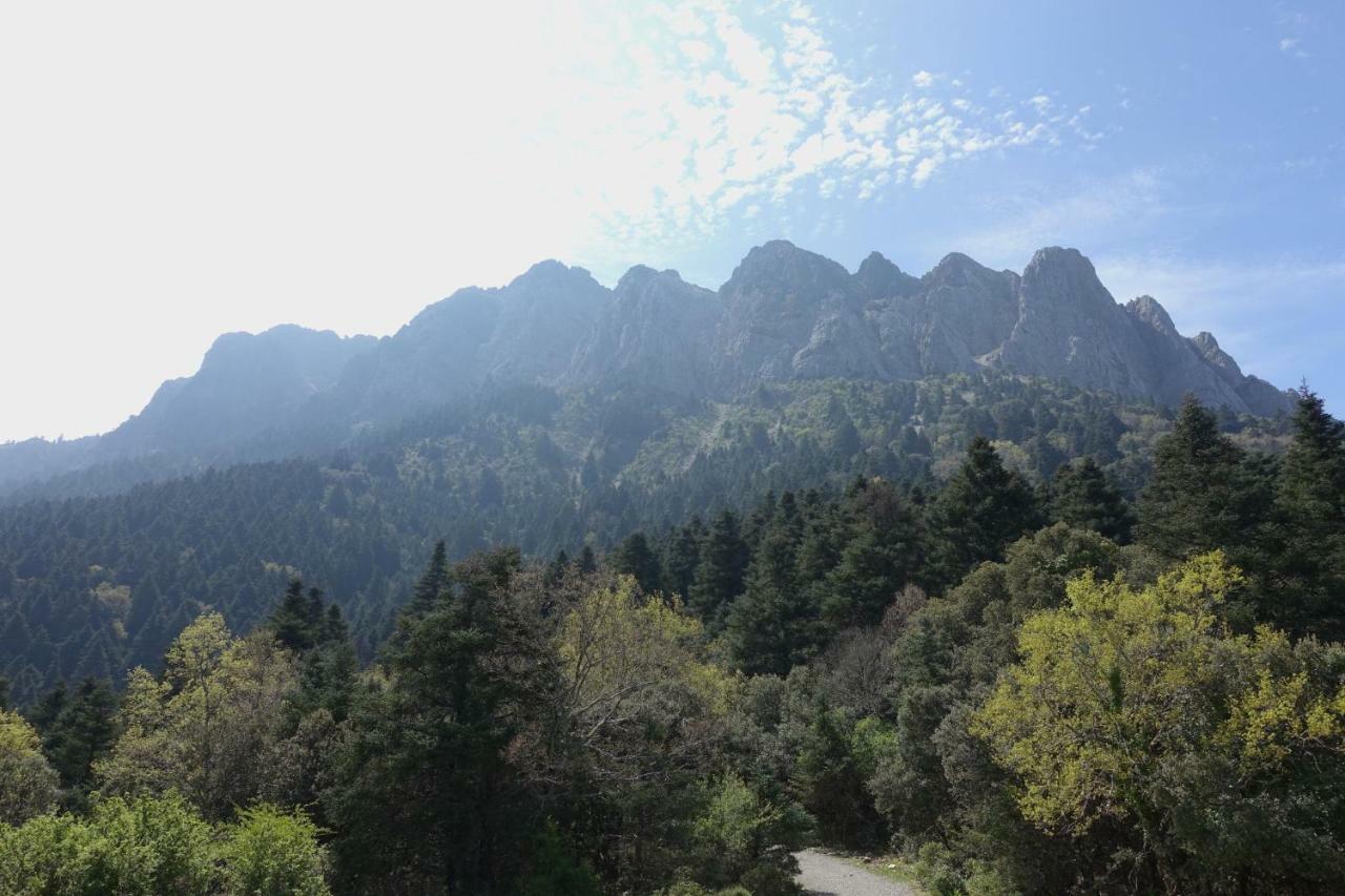 Betania ξενώνας Grazalema Εξωτερικό φωτογραφία